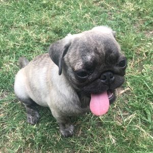 Meet your Posher, Vito